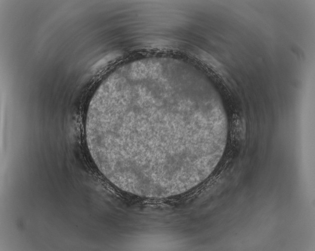 X0000112400918200909110926