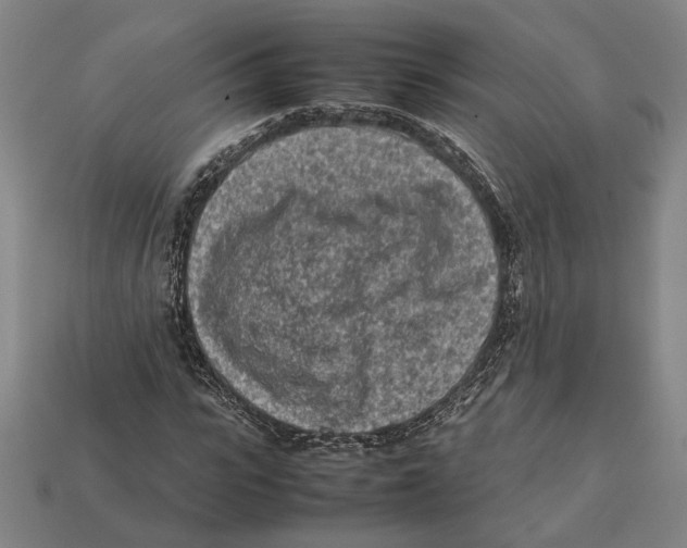 X0000112400919200909110926