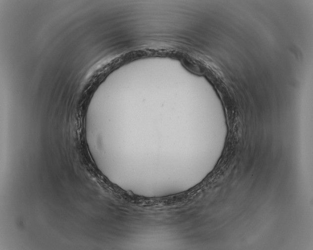 X0000112400920200909110926