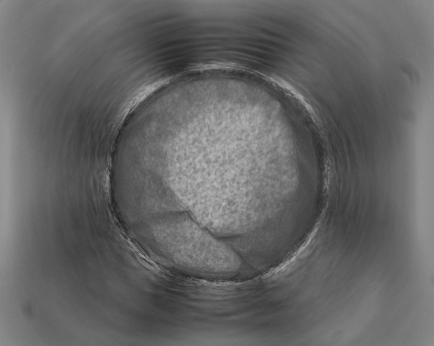 X0000112400921200909110926