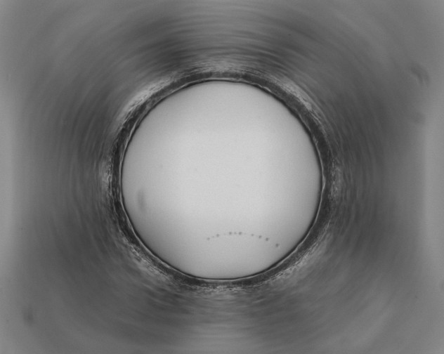 X0000112400922200909110926