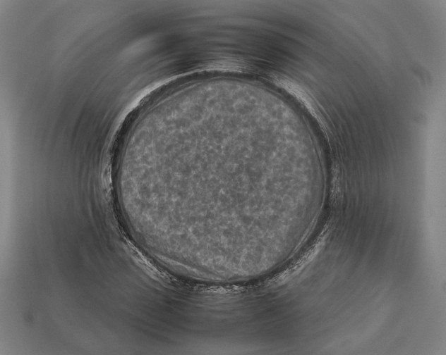 X0000112400923200909110926