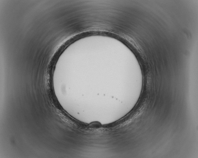 X0000112400926200909110926