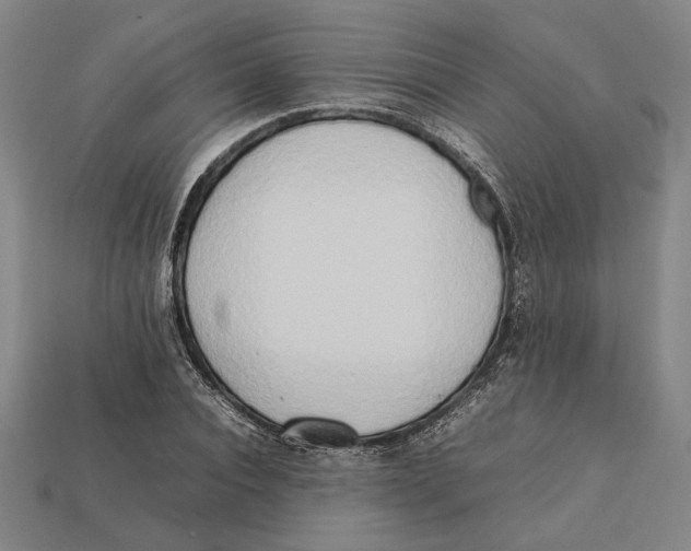 X0000112400928200909110926