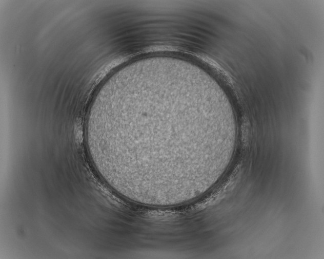 X0000112400929200909110926