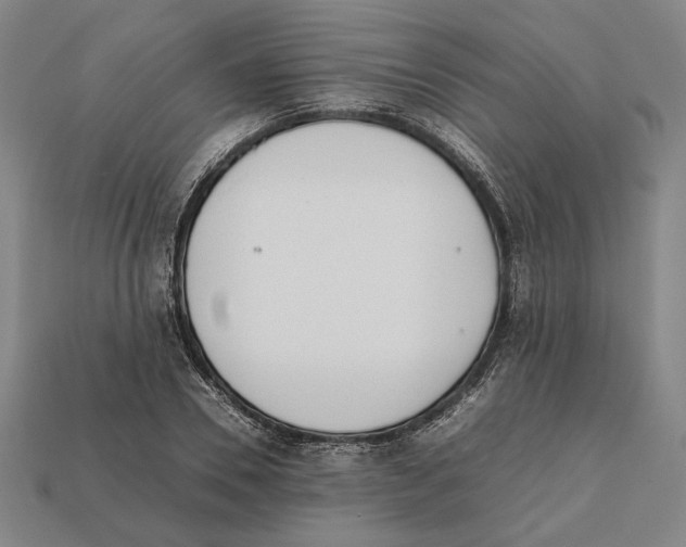 X0000112400930200909110926