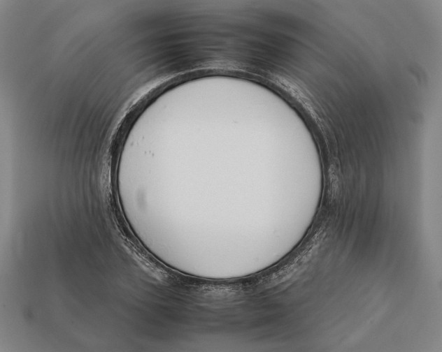 X0000112400931200909110926