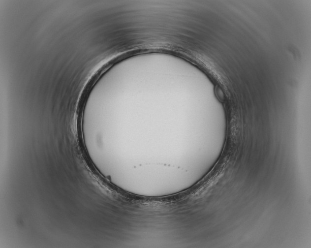 X0000112400932200909110926