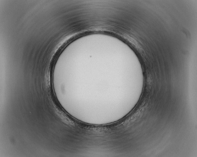 X0000112400934200909110926