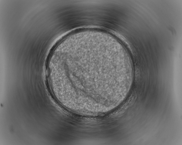 X0000112400935200909110926