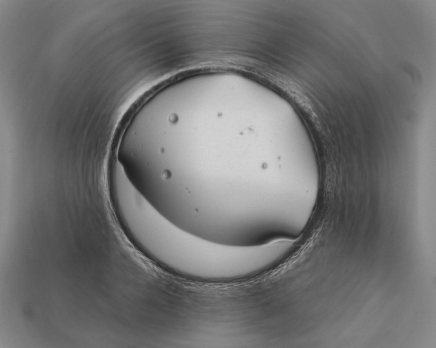 X0000112400936200909110926