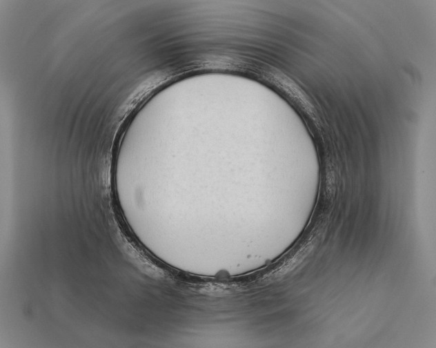 X0000112400938200909110926