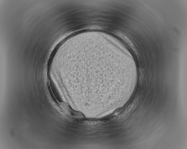X0000112400939200909110926