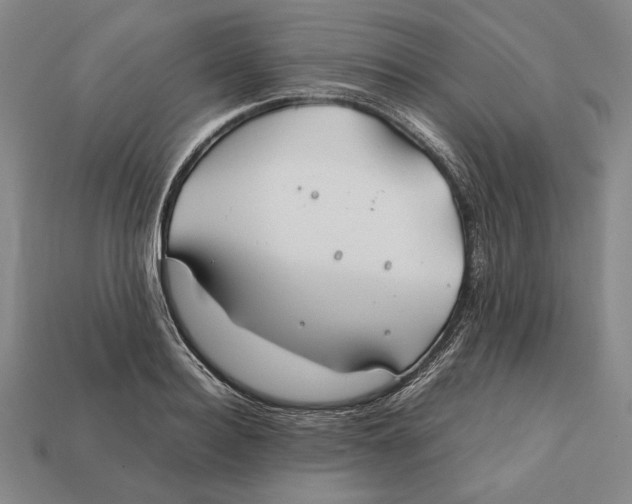 X0000112400940200909110926