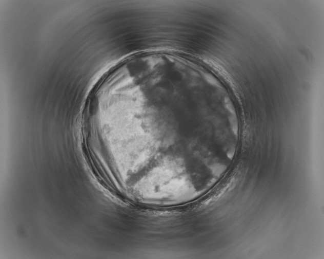 X0000112400941200909110926