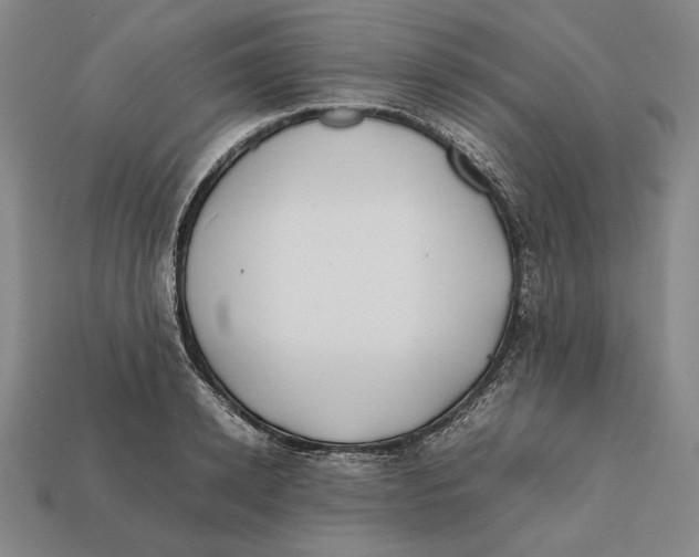 X0000112400942200909110926