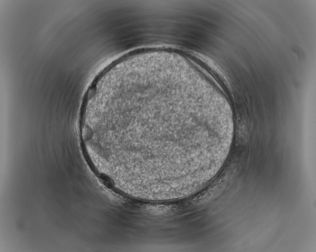 X0000112400943200909110926