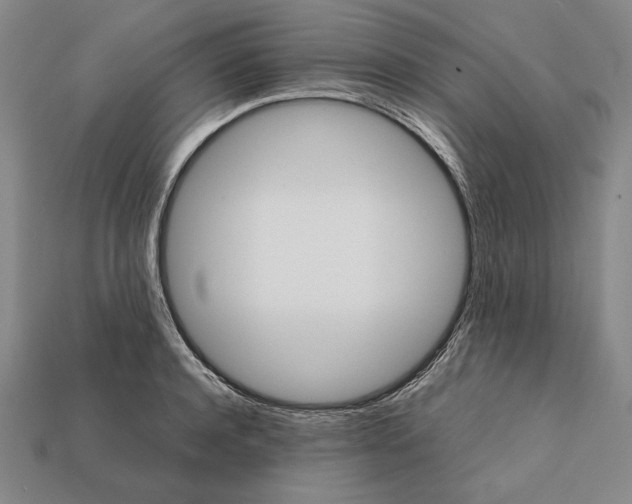 X0000112400944200909110926