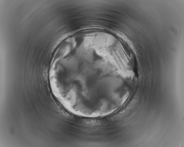 X0000112400945200909110926