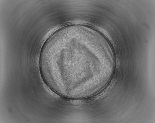 X0000112400946200909110926