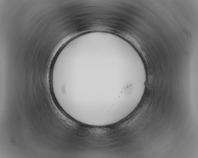 X0000112400947200909110926