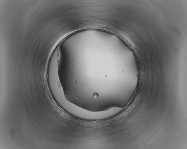 X0000112400948200909110926