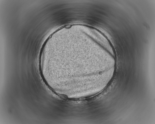 X0000112400949200909110926