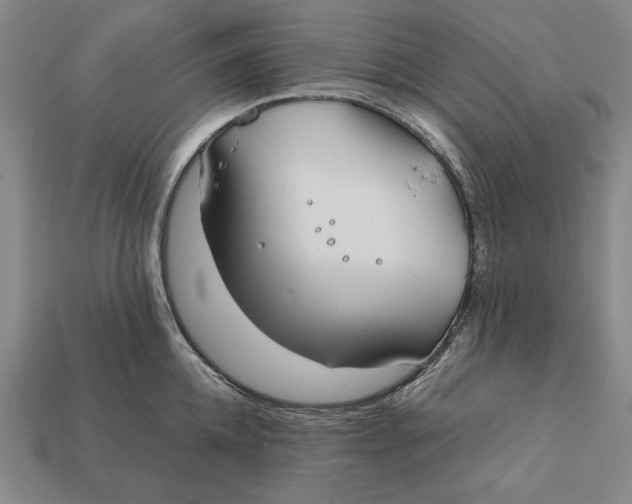 X0000112400952200909110926
