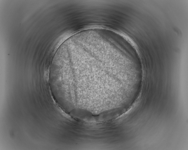 X0000112400953200909110926