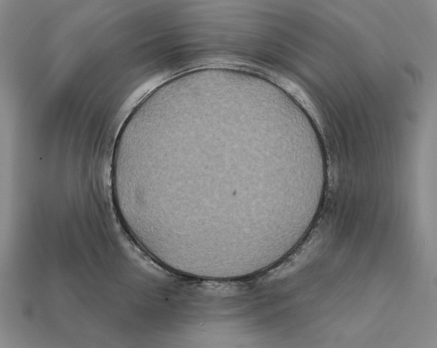 X0000112400954200909110926