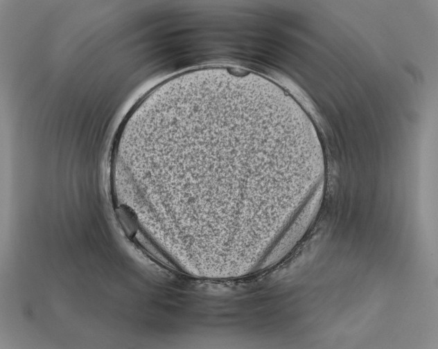 X0000112400955200909110926