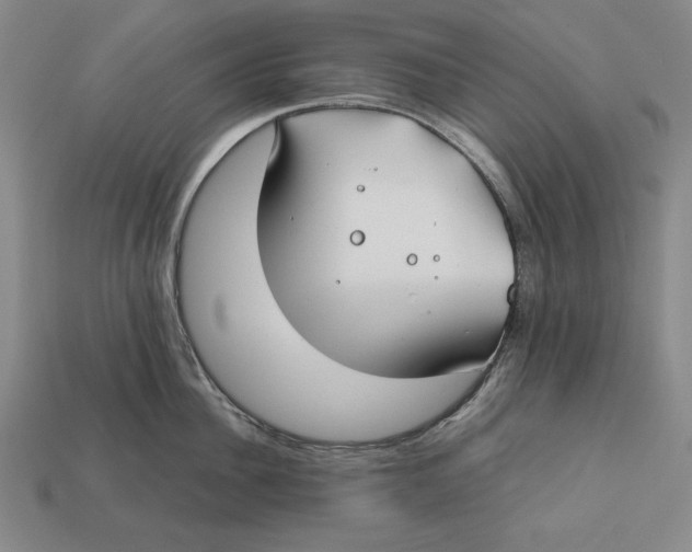 X0000112400956200909110926