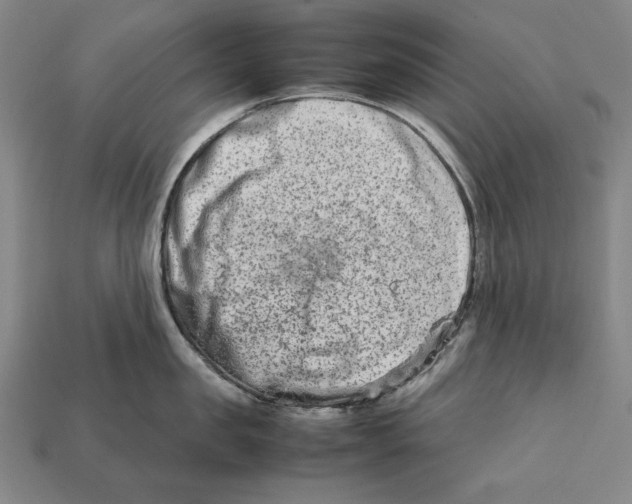 X0000112400957200909110926