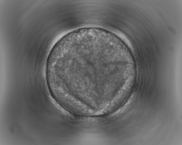 X0000112400958200909110926