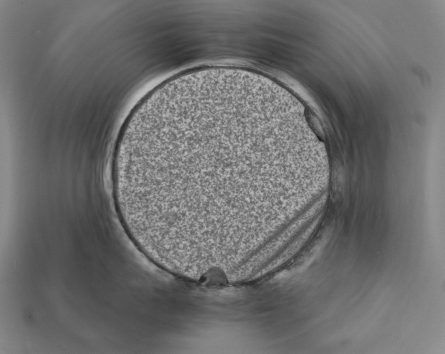 X0000112400959200909110926