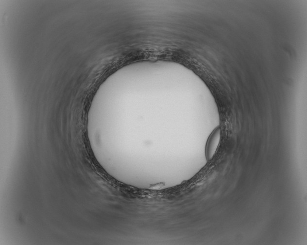 X0000112400961200909110925