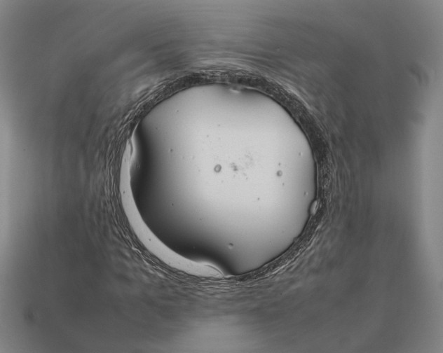 X0000112400965200909110925