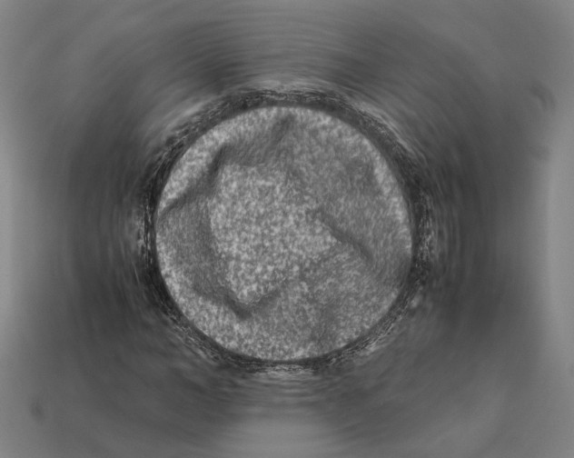 X0000112400966200909110925