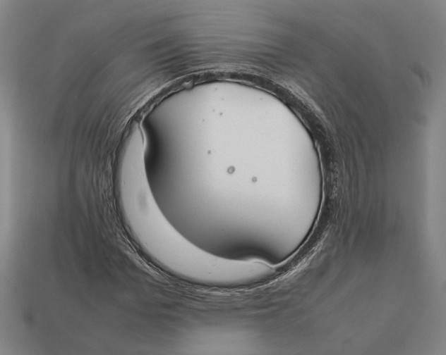 X0000112400969200909110925