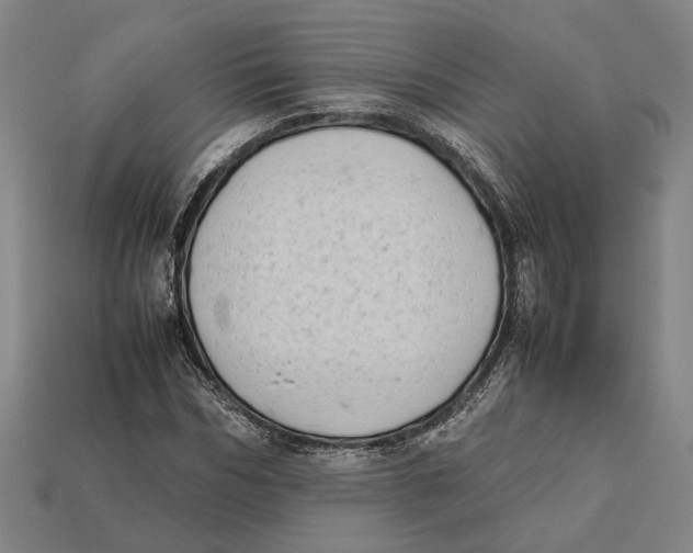 X0000112400970200909110925