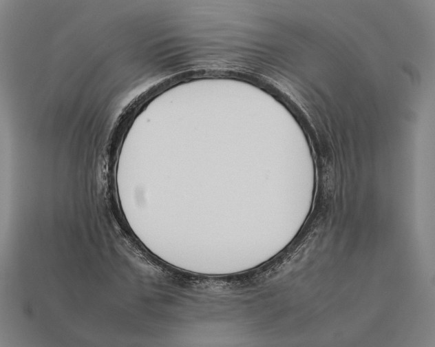 X0000112400971200909110925