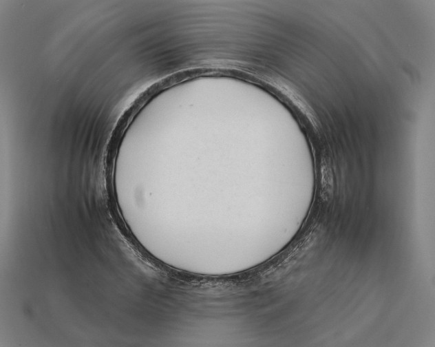 X0000112400972200909110925