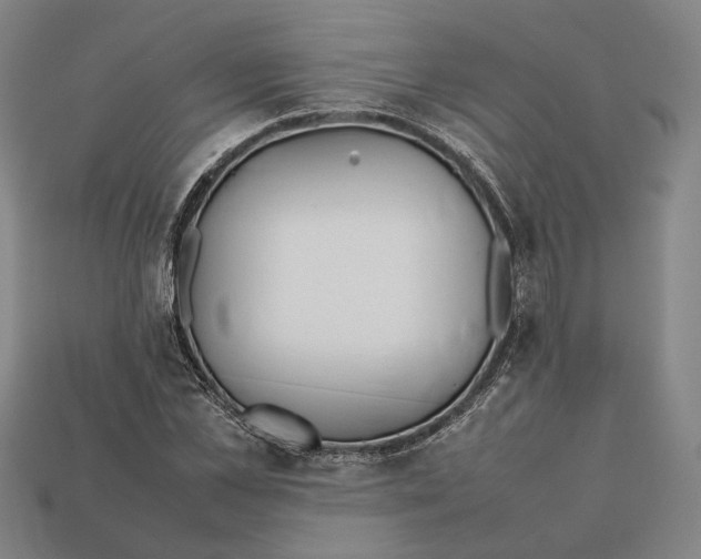 X0000112400973200909110925