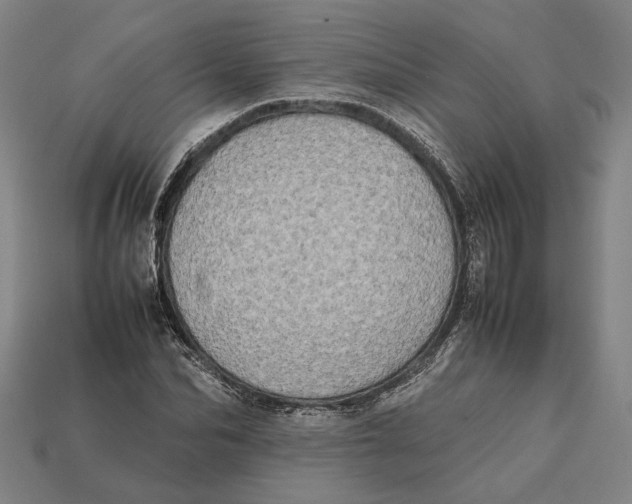 X0000112400974200909110925