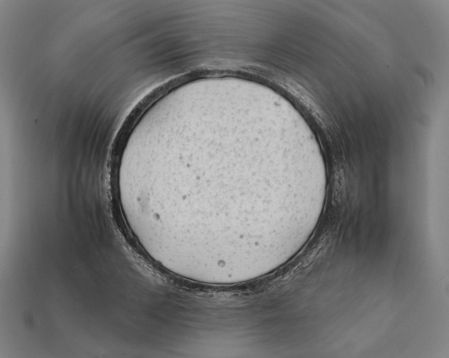 X0000112400976200909110925