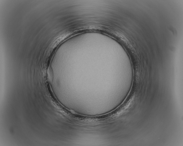 X0000112400977200909110925