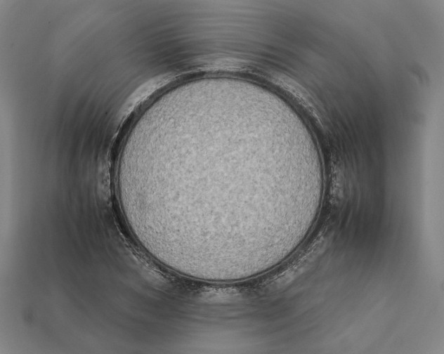 X0000112400978200909110925
