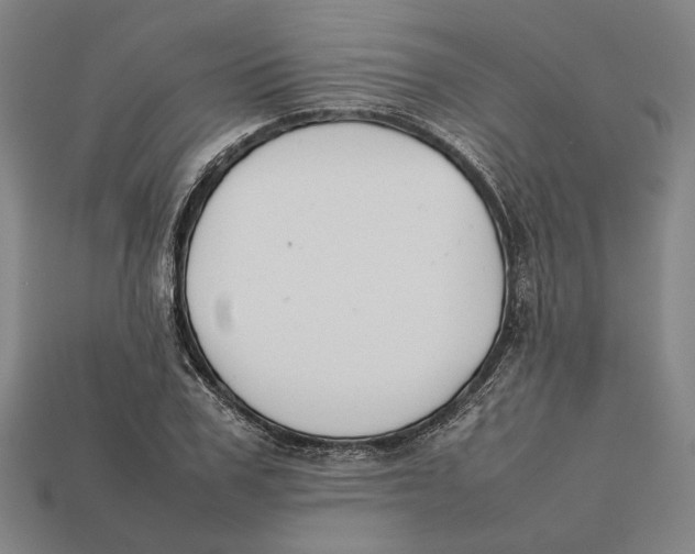 X0000112400979200909110925