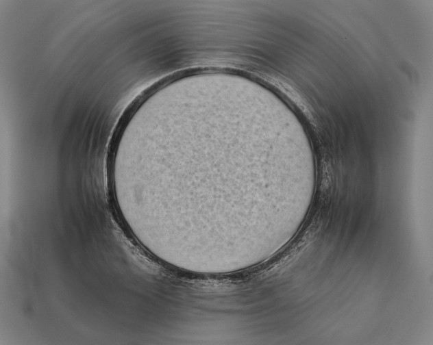 X0000112400980200909110925