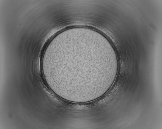 X0000112400982200909110925